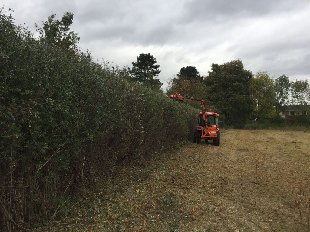 Hedge Cutting Services